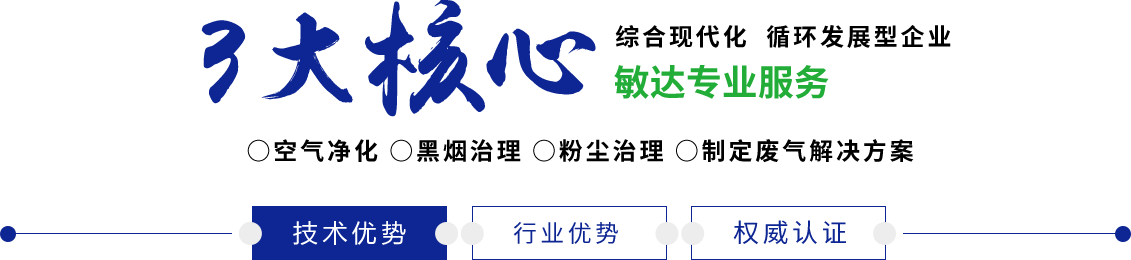 国产又黄又湿又高潮的应用敏达环保科技（嘉兴）有限公司